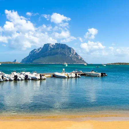 Apartment Il Poggio A3 With Shared Pool - Happy