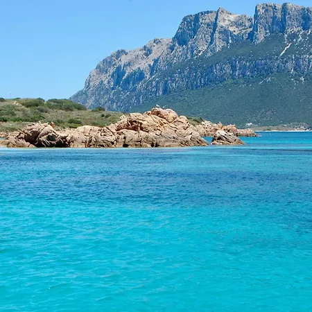 Il Poggio A3 With Shared Pool - Happy Apartment *