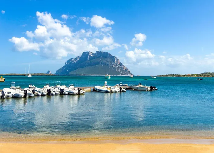 Διαμέρισμα Il Poggio A3 With Shared Pool - Happy