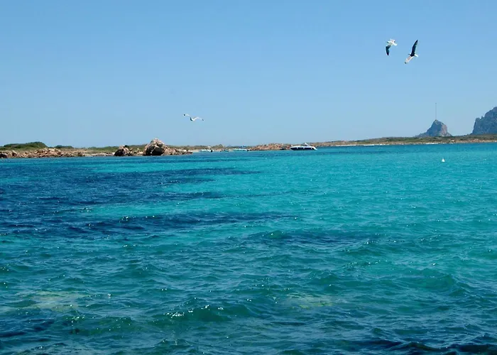 Il Poggio A3 With Shared Pool - Happy Διαμέρισμα